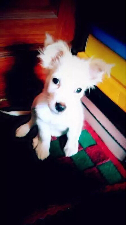 ����ʳ ����ôһ��ʱ���ݵĸ���Ű����һ��