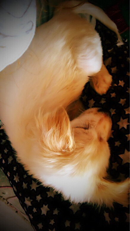 ����ʳ ����ôһ��ʱ���ݵĸ���Ű����һ��