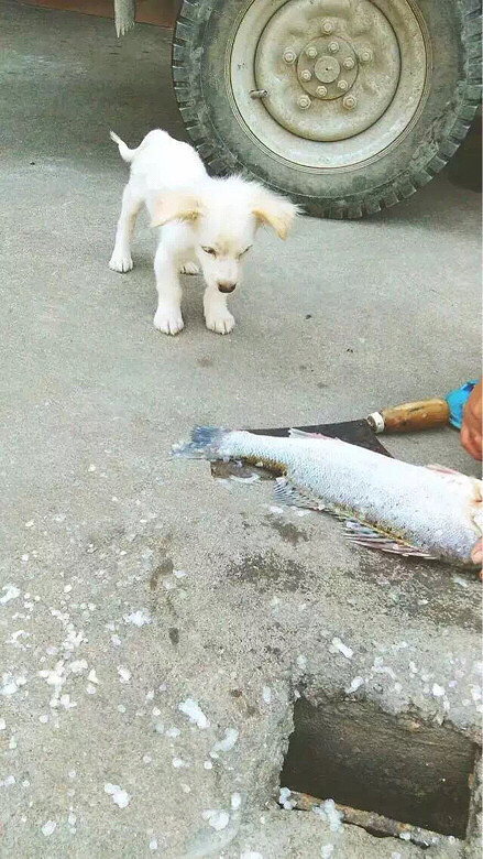 ����ʳ ����ôһ��ʱ���ݵĸ���Ű����һ��