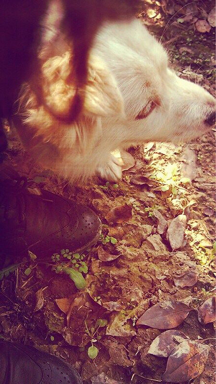 ·�� �������� һ�پ仰������