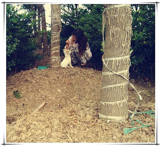 ·�� �������� һ�پ仰������