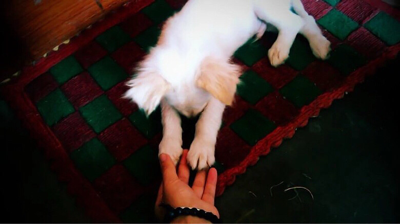 ����ʳ ����ôһ��ʱ���ݵĸ���Ű����һ��