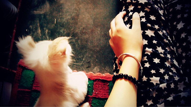 ����ʳ ����ôһ��ʱ���ݵĸ���Ű����һ��