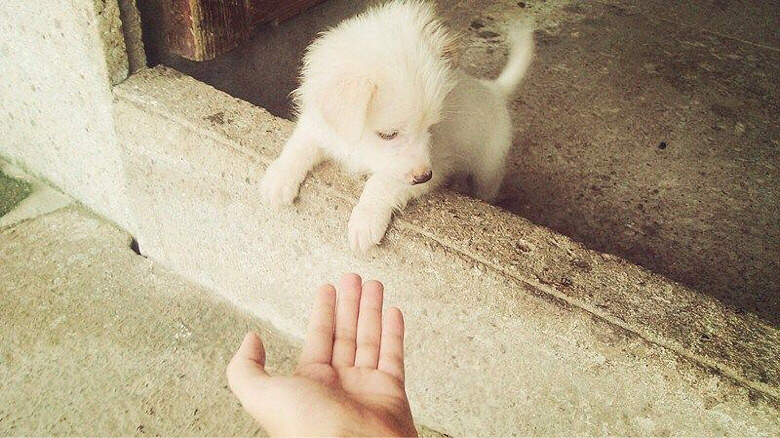 ·�� �������� һ�پ仰������