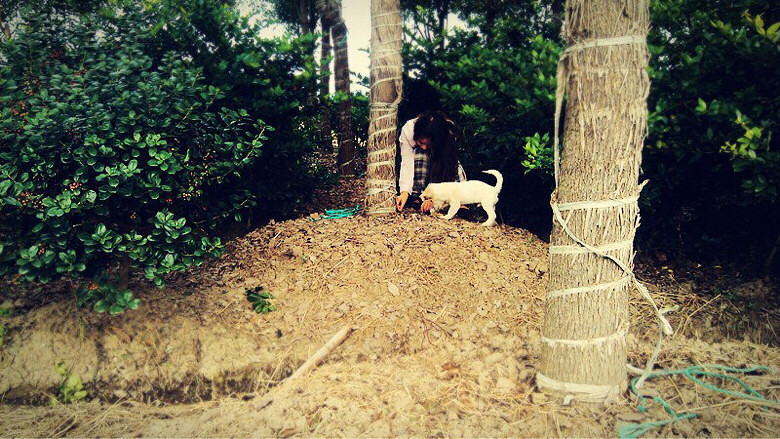 ·�� �������� һ�پ仰������