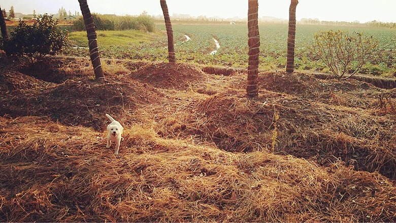 ·�� �������� һ�پ仰������