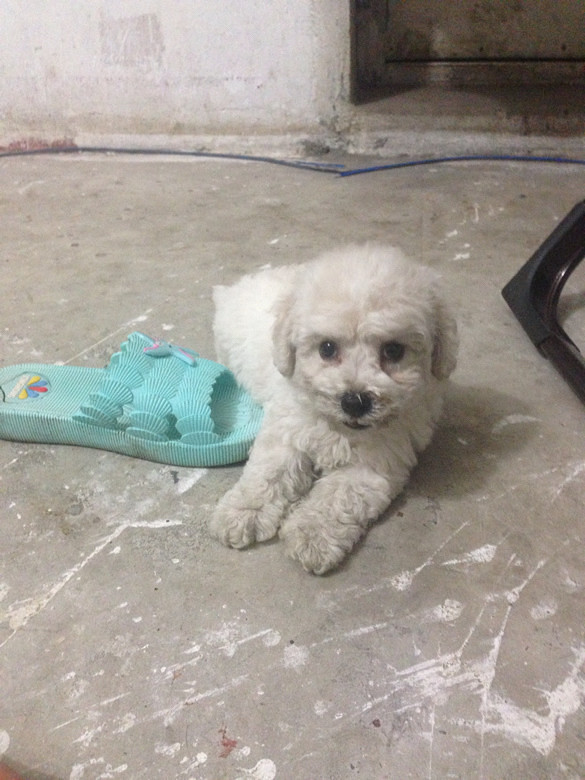 �ȳ�ɳ��ǣ�