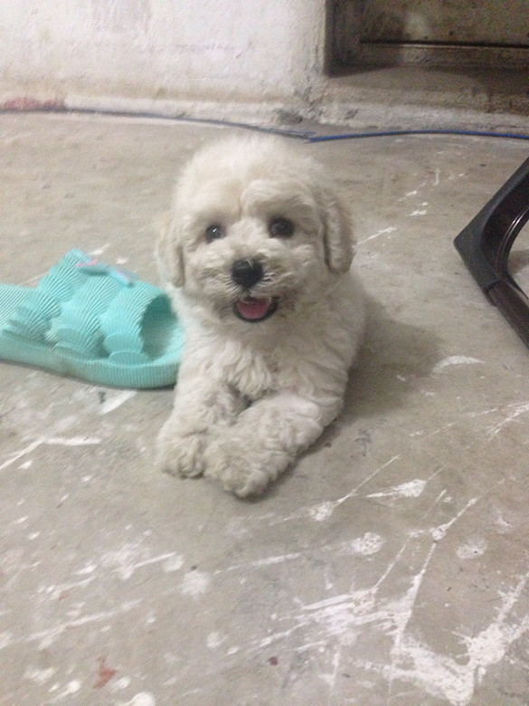 �ȳ�ɳ��ǣ�