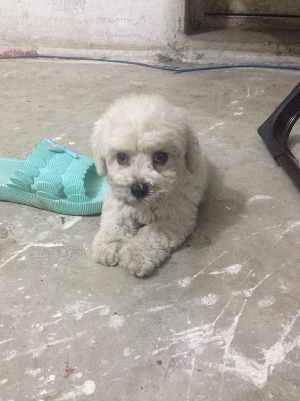 �ȳ�ɳ��ǣ�