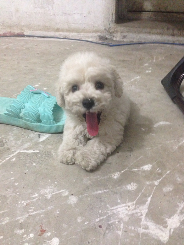 �ȳ�ɳ��ǣ�