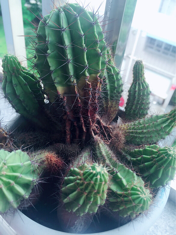 ˭˵��������������