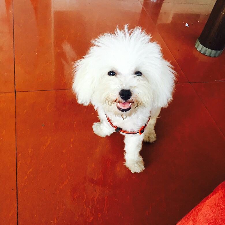 �˵������ҵ��һ�����̰ɶ�һֻ������С��