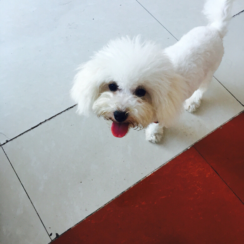 �˵������ҵ��һ�����̰ɶ�һֻ������С��