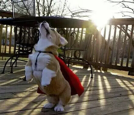 �»����ǿ»�