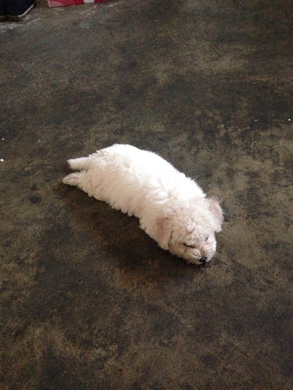 #����#С�׶�