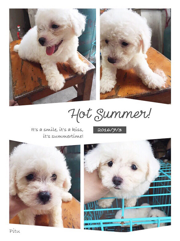 �Լ�������С����С̩��