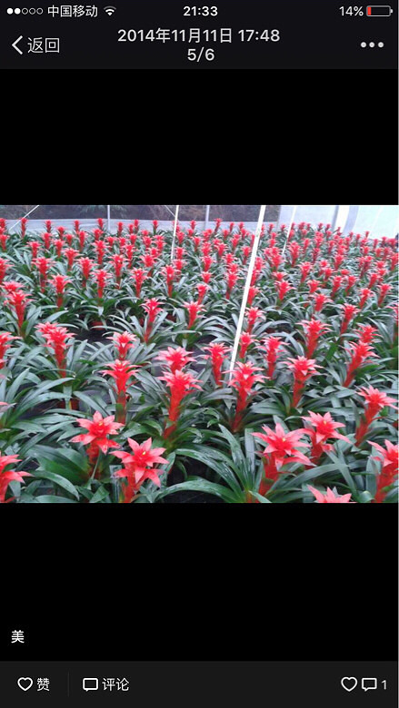 �ҼҵĻ��ݣ����һ��������