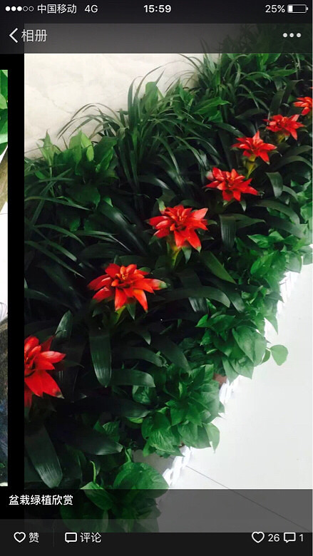 �ҼҵĻ��ݣ����һ��������