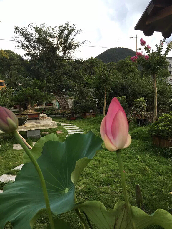 �ҼҵĻ��ݣ����һ��������