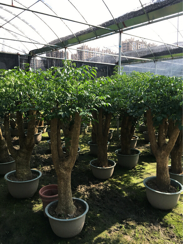 �ҼҵĻ��ݣ����һ��������