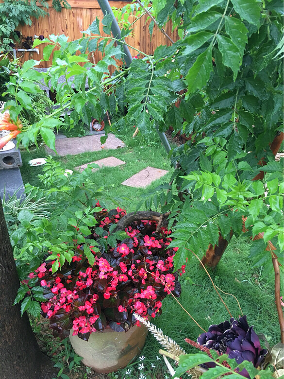 �ҼҵĻ��ݣ����һ��������