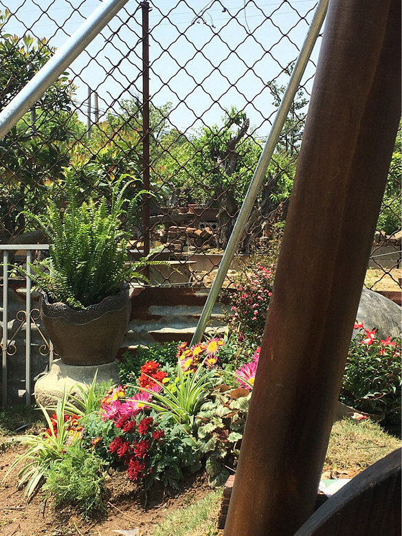 �ҼҵĻ��ݣ����һ��������