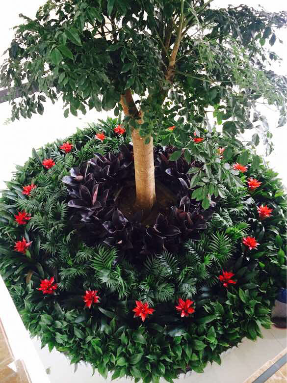 �ҼҵĻ��ݣ����һ��������