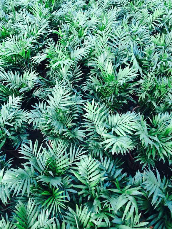 �ҼҵĻ��ݣ����һ��������