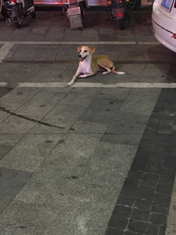 �ﹷ��Ѱ�����ˣ���