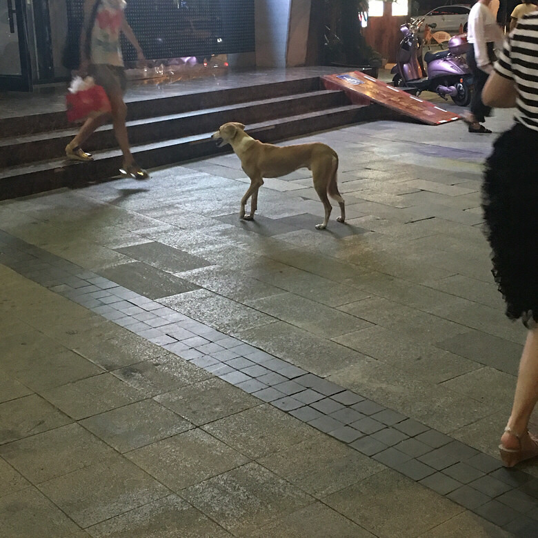 �ﹷ��Ѱ�����ˣ���