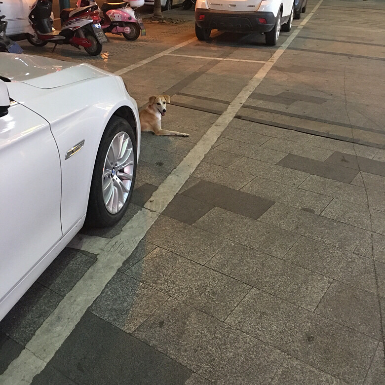 �ﹷ��Ѱ�����ˣ���