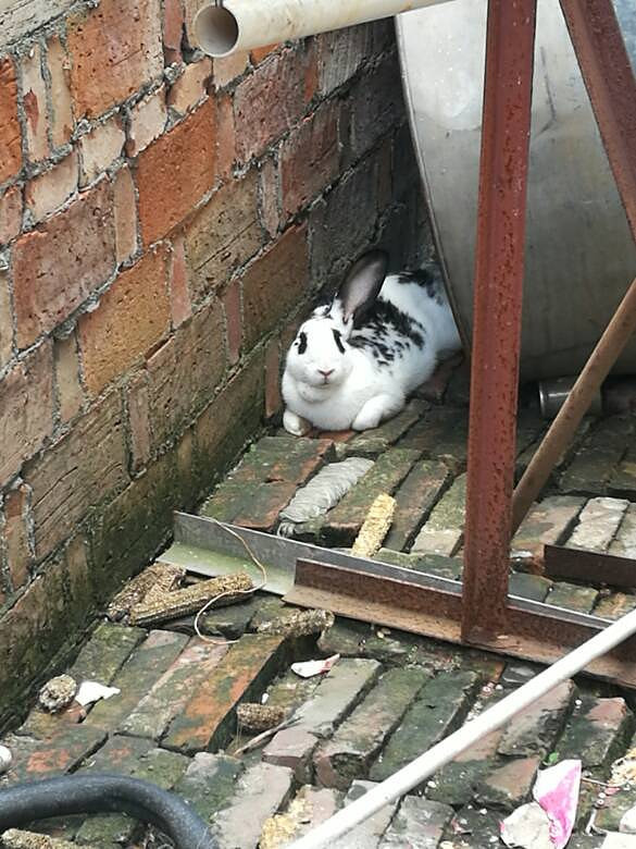 �����ʵ�����