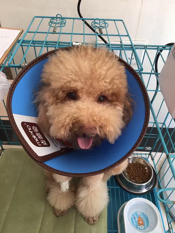 Ѱ�Ҷ�ʧ�Ĺ���-�ٺ�������ʧ��