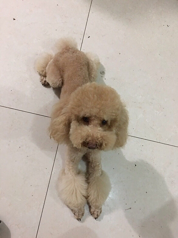 Ѱ�Ҷ�ʧ�Ĺ���-�ٺ�������ʧ��