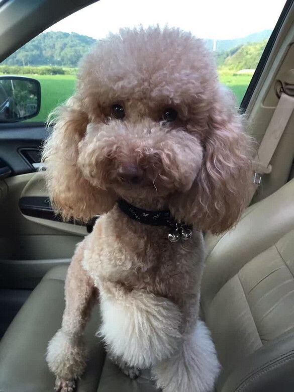 Ѱ�Ҷ�ʧ�Ĺ���-�ٺ�������ʧ��