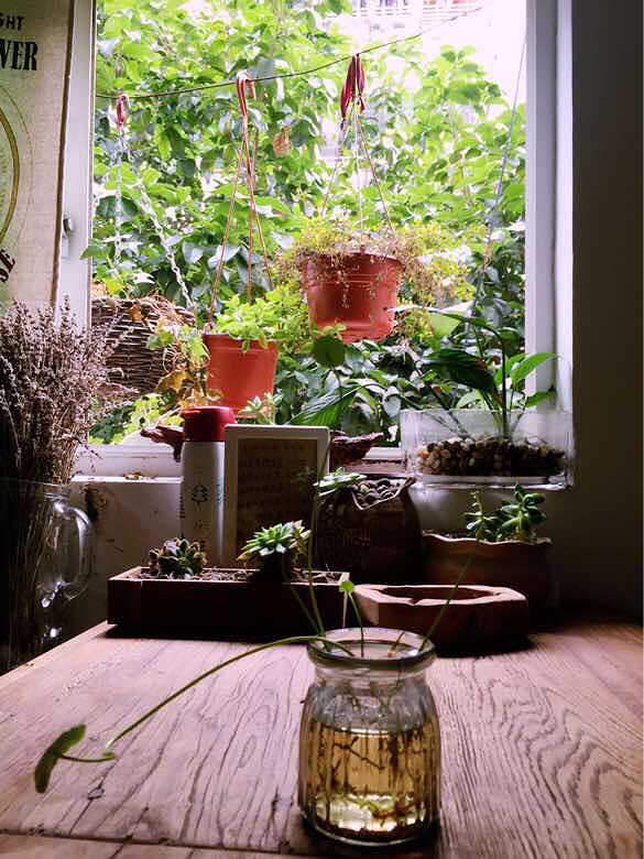 ��̶������