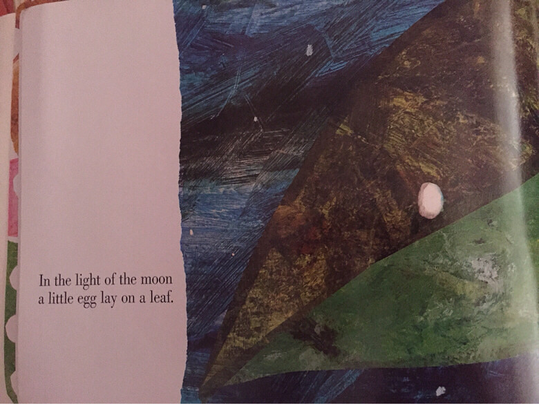 �汾�����ڡ�the very hungry caterpillar��