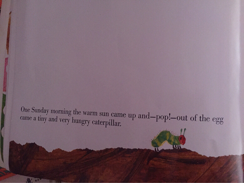 �汾�����ڡ�the very hungry caterpillar��