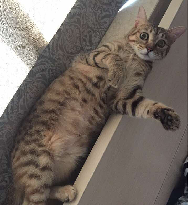 ����didi����ճ������