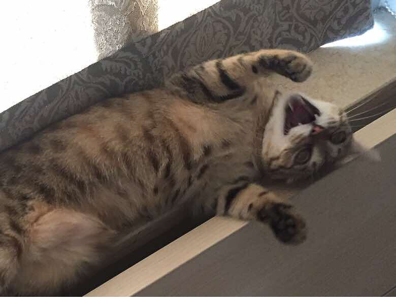 ����didi����ճ������