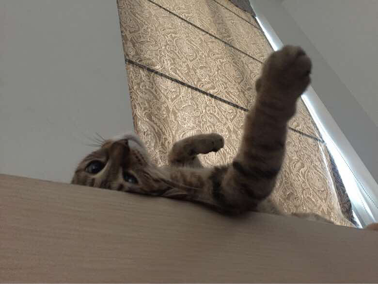 ����didi����ճ������