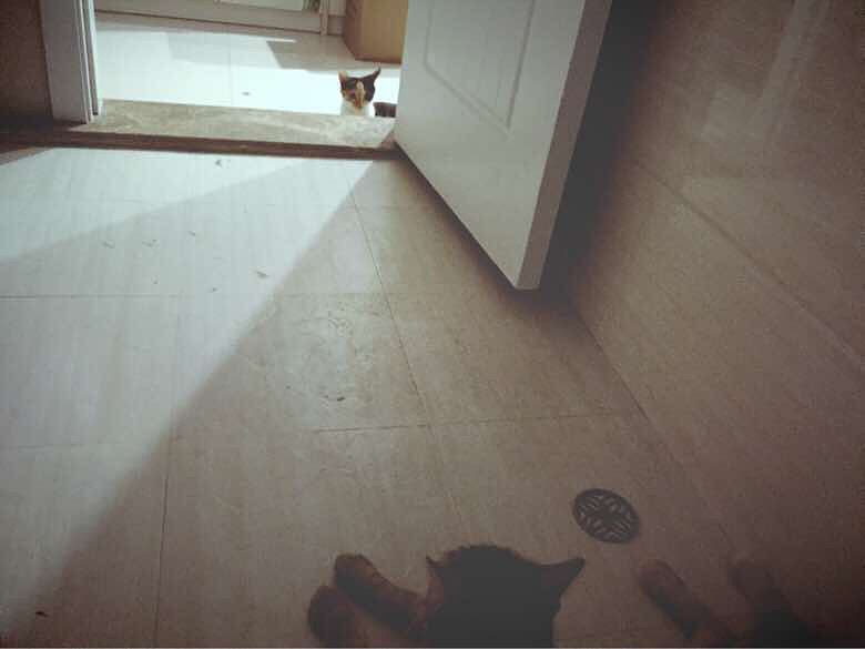 ����didi����ճ������