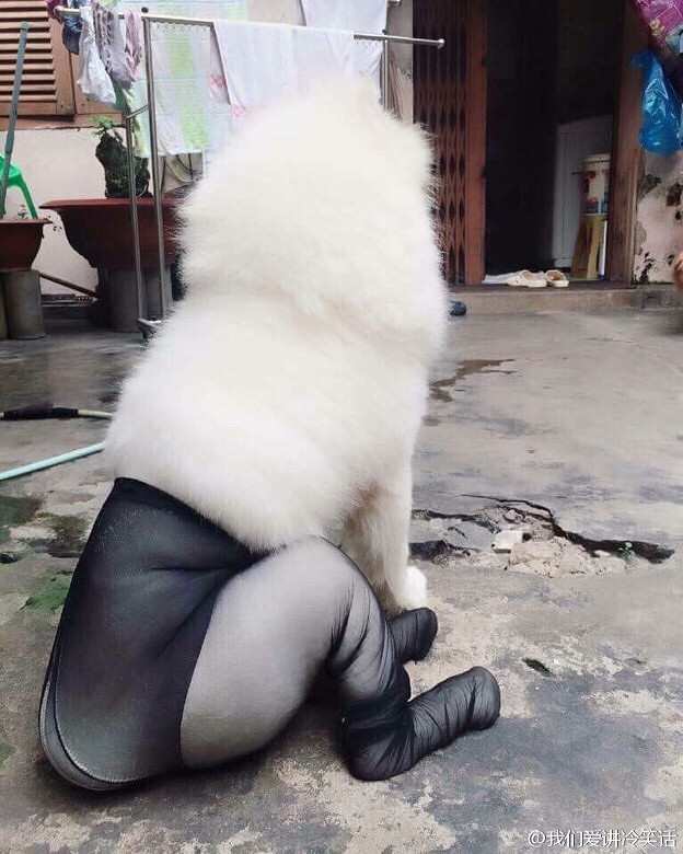 ���˸��Լ�����Ħ����˿��֮�󡣡�����Ҳ̫