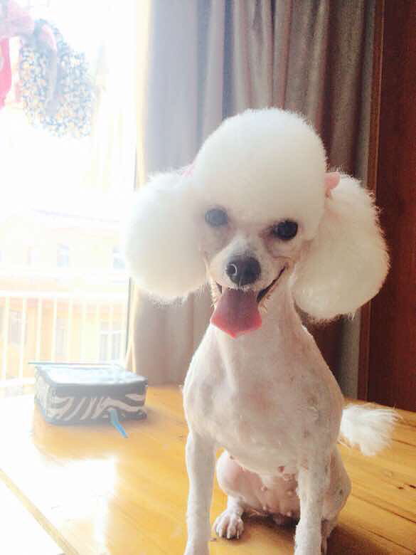 �Ҽҹ����߶��ˣ����п���������л