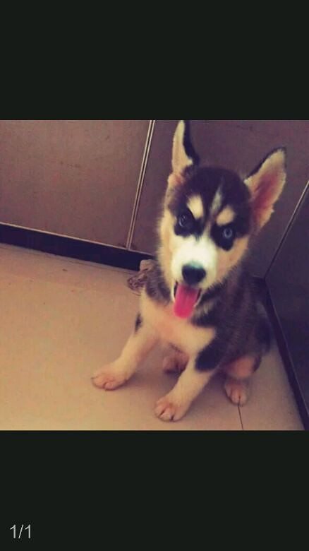 ���ҼҶ���ү������ô��Ŀ���