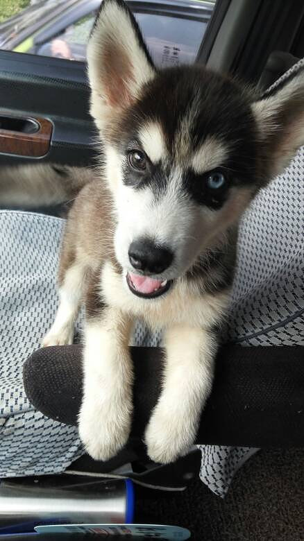 ���ҼҶ���ү������ô��Ŀ���