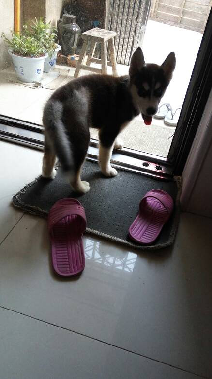 ���ҼҶ���ү������ô��Ŀ���