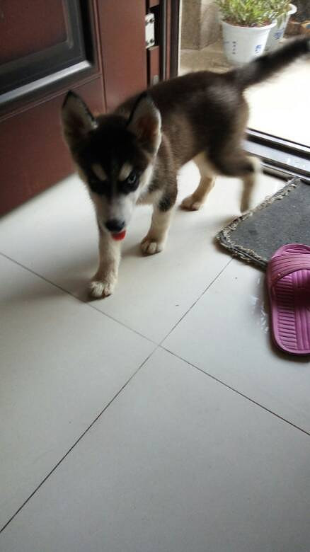 ���ҼҶ���ү������ô��Ŀ���