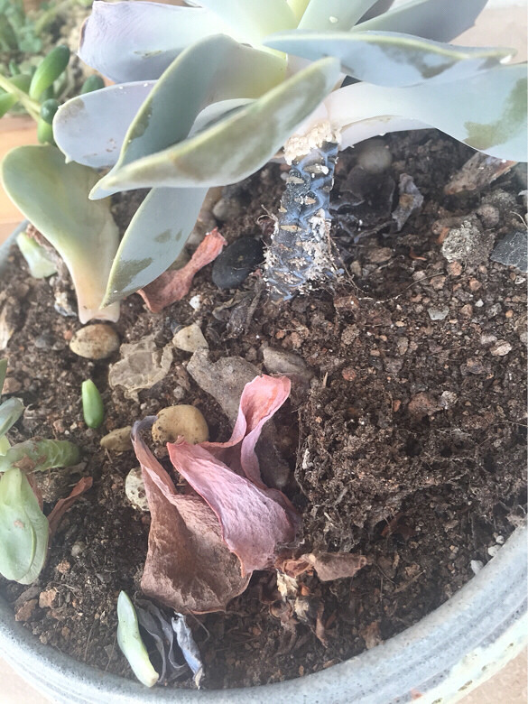 �������ˣ���ȴ����