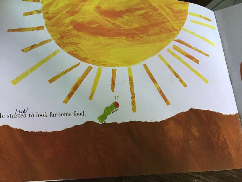 ���汾��5�ڡ�the very hungry caterpillar